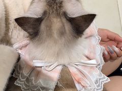 -怪兽屋·羊驼·猫咖·狗咖(俊华广场店)