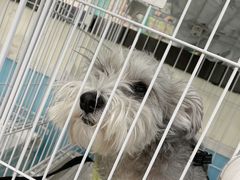 -天宠宠物医院24小时·急重症诊疗中心·全科·腔镜特色(和平分院)