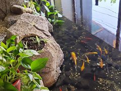 -渔家大院·地道威海菜(石岛店)