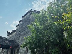-东梓关景区村庄