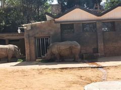 -昆明动物园