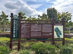 -大屏嶂森林公园