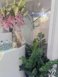 -进巍美甲