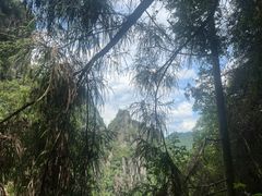 -刘伯温故里景区百丈漈