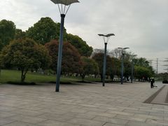 -九里河湿地公园