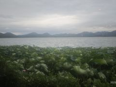 -湖畔居茶楼(湖滨店)