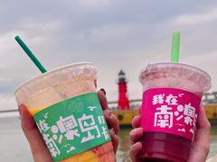 -南澳岛打卡果汁冰公司