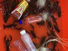 -海盗船. 龙虾烧烤. 酒馆