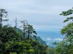 -峨眉山风景名胜区