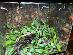 -酷嗒动物文化乐园(cutezoo西溪乐天城店)