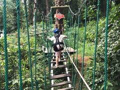 -芦仙山景区-飞越丛林探险乐园