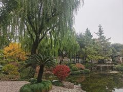 -秋霞圃