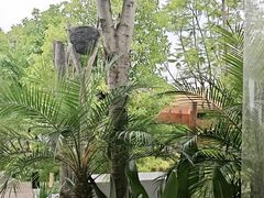 -茅草房·河畔园林火锅