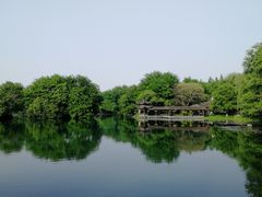-西湖游船