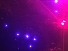 -秃鹫湾·推理大师沉浸式实景演绎推理剧场