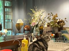 -咖法森林·咖啡  酒吧(天河店)