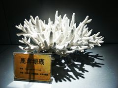 -福州罗源湾海洋世界旅游区