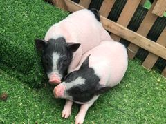 -大族广场Mall&More