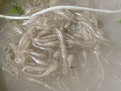 -白家高记肥肠粉(总店)