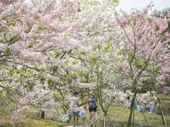 -白沙门生态公园