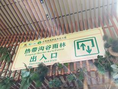 -西双版纳原始森林公园