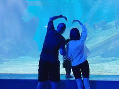 -福州罗源湾海洋世界旅游区