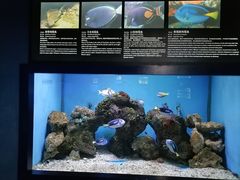 -大连老虎滩海洋公园