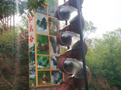 -欢乐松鼠谷