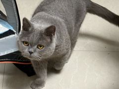 -贝康宠物医院·犬猫全科·小动物特色诊疗中心(东环路店)