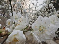 -北京大学(昌平校区)