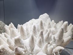 -福州罗源湾海洋世界旅游区