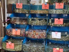 -北戴河庆山饭店·海鲜砂锅粥(北戴河黑石路店)