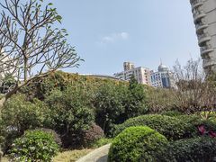 -洲头咀公园