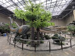 -国家自然博物馆