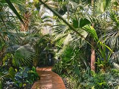 -国家植物园南园