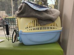 -瑞鹏宠物医院·骨外科·心肾科·肿瘤科(九亭店)