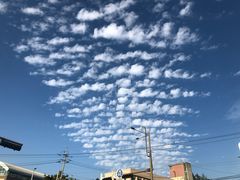 -水浒人家·胶东海鲜家常菜(高区店)
