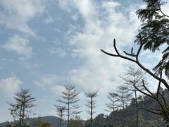 -水濂山森林公园