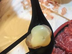 芝士包心牛丸-鲜入围煮花胶鸡海鲜火锅