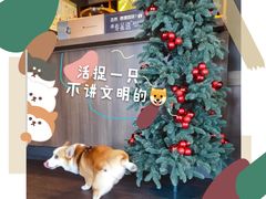 -星巴克(宁波老外滩店)