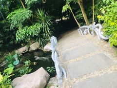 -金鸡山公园