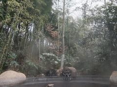 -天目湖御水温泉·度假酒店