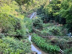 -东莞市大岭山森林公园