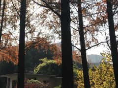 -郑和公园