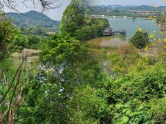 -水濂山森林公园