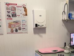 -守诺宠物医院·眼科· 特色牙科·异宠专科(虹口店)