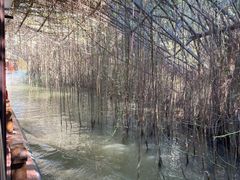 -江门古劳水乡旅游区