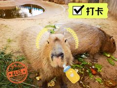 -无锡动物园·太湖欢乐园
