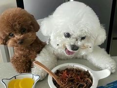 -马小毛老上海里脊肉(南翔印象城店)