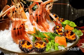 Live-Caught Sea Urchin